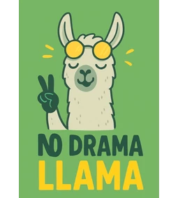 Blog 61: „No Drama, Lama” – avagy a JóPont adományboltok kincsei