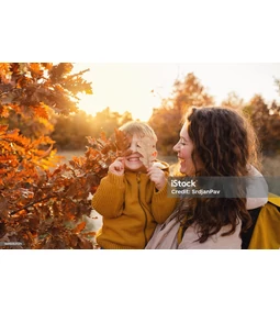 Blog 83: Elsőosztály Másodkézből