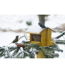 Blog 97: Téli madáretetés