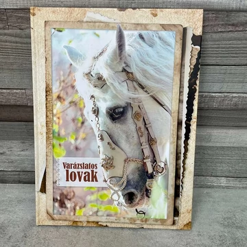 Szarvas Tímea: Varázslatos lovak természetkönyv