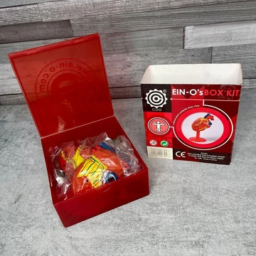 Big Signs Ein-O Science emberi anatómiai oktatómodell szív