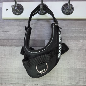 Julius-K9 kutyahám, mini méret