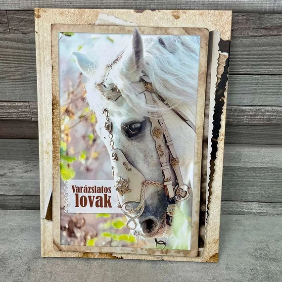 Szarvas Tímea: Varázslatos lovak természetkönyv