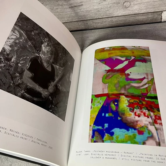 Gyenes Zsolt: Fotográfia mozgásban, kortárs művész könyv