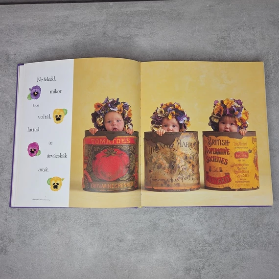 Anne Geddes: Kinn a kertben, könyv