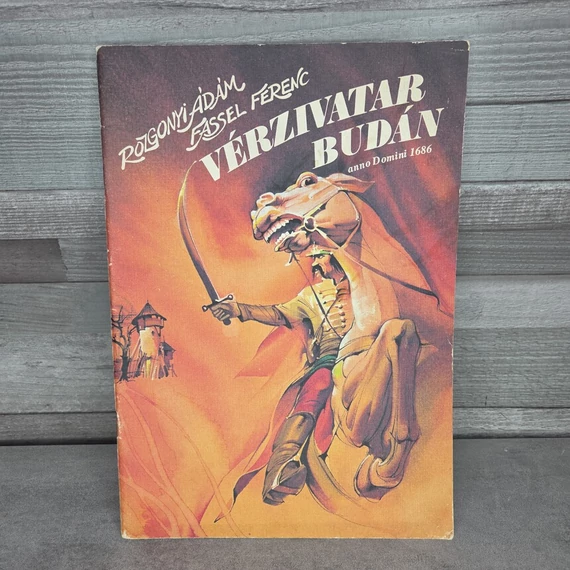 Rozgonyi Ádám: Vérzivatar Budán, könyv