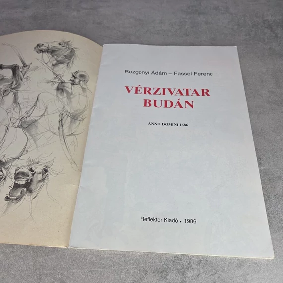 Rozgonyi Ádám: Vérzivatar Budán, könyv