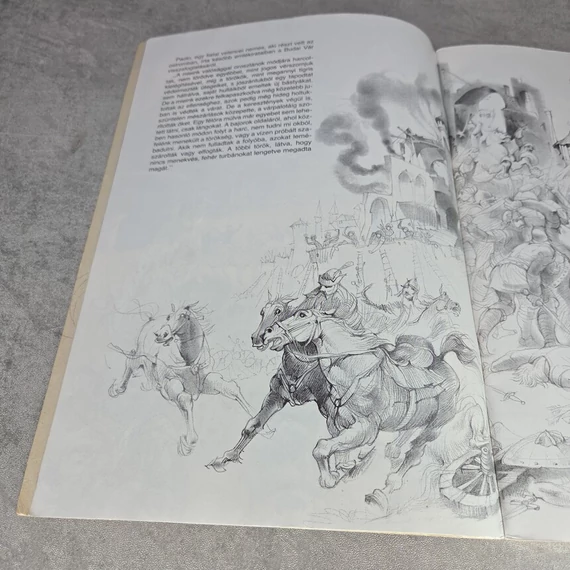 Rozgonyi Ádám: Vérzivatar Budán, könyv