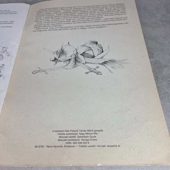 Rozgonyi Ádám: Vérzivatar Budán, könyv