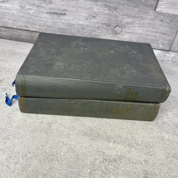 Juhász Gyula összes verse; Vörösmarty Mihály összes költői műve könyvcsomag