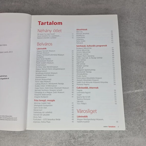 Budapest-Balaton gyerekekkel, könyv