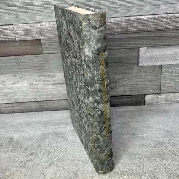 F. Schmidt: A gyakorlati fotografozás kézikönyve