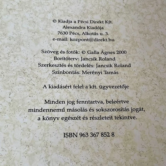 Galla Ágnes: Karnevál Velencében könyv