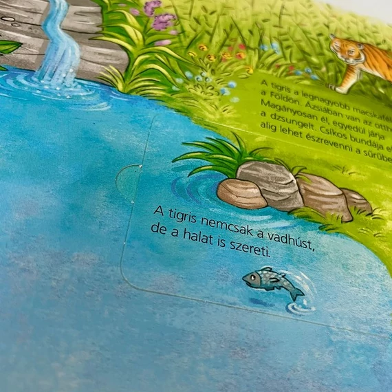 Mi Micsoda Ovisoknak: Állatkert, nyitogatós mesekönyv