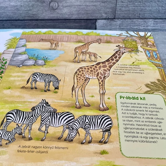 Mi Micsoda Ovisoknak: Állatkert, nyitogatós mesekönyv