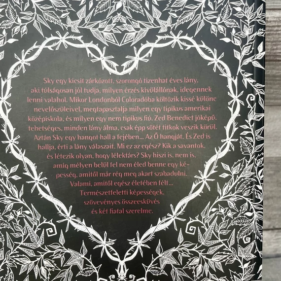 Joss Stirling: Lélektársak, Sky, Találd meg a lélektársad! könyv