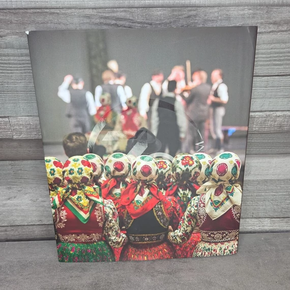 Honvéd Együttes – 70 év művészet és történelem, könyv