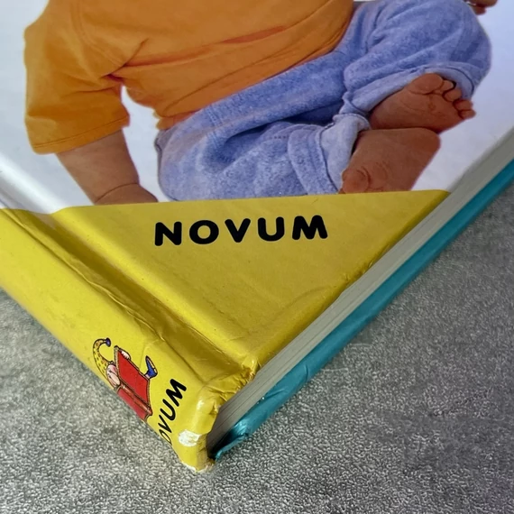 Dorothy Einon: Csecsemőgondozás és gyermeknevelés: Hogyan neveljünk boldog, egészséges, magabiztos gyermeket