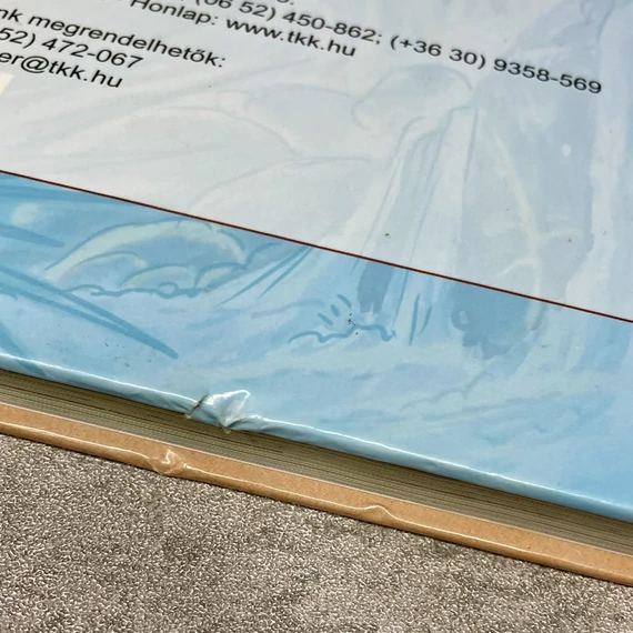 Fecske Csaba: Bibliai történetek gyermekeknek, könyv