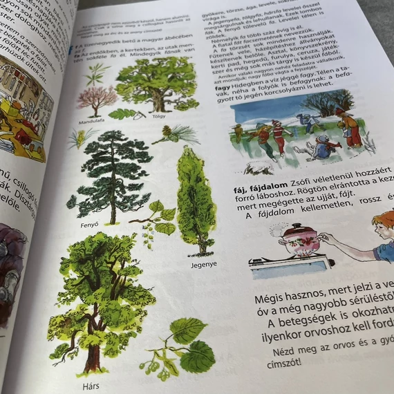 Ablak-Zsiráf Képes Gyermeklexikon kék 2013-as kiadás, könyv