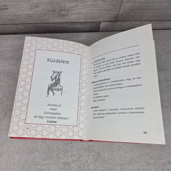 Diane Farr: Csajszi kódex, könyv