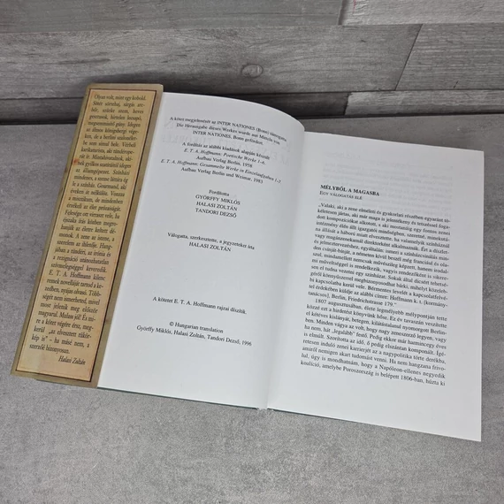 E. T. A. Hoffmann: Az elveszett tükörkép története, könyv