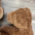 Kép 4/4 - Big Nose Buddies Mackó testvérek plüss állat szett