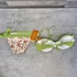 Kép 4/4 - Lisca Cheek Holiday zöld virágos bikini 36/C