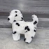 Kép 3/3 - Plüss sétáló dalmata kutya játék