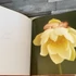 Kép 3/4 - Anne Geddes; Celine Dion: A születés csodája, Miracle, az új élet ünneplése könyv